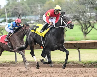 Lopez lands first local win aboard D I Wire in Aspirant