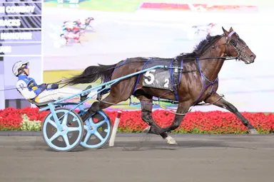Woodbine Mohawk Park:  Shalom Hanover, Eastie Boy tally in Metro eliminations