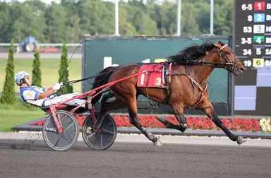 Woodbine Mohawk Park:  Blue Jean Gal speeds to Ontario Sires Stakes record clocking