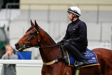 Royal Ascot 2026: Horse-by-horse guide - Queen Elizabeth II Jubilee