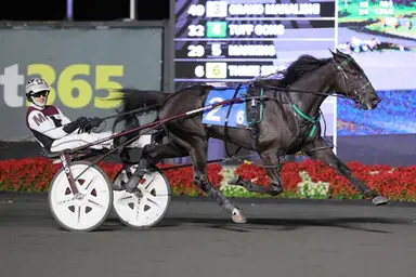 Woodbine Mohawk Park:  OSS records felled by D A Johnny Cash, Verily