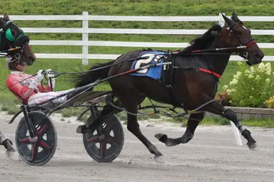 Oak Grove:  Three Times Bettor, Gimpanzee Dancer repeat in Kentucky Sire Stakes finals