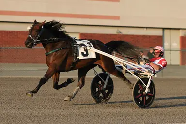 Yonkers:  Chapter Geo J, AI victorious in New York Sire Stakes