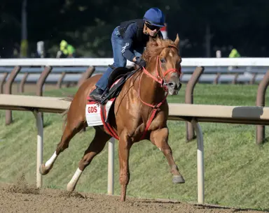 The Puma has first work since Haskell