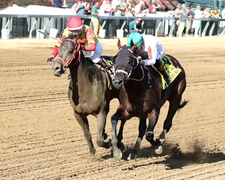 BISHOPS BAY - The 34th Running of THE ACK ACK G3 - 09-26-26 - R09 - Churchill Downs - Inside Finish 02 - John Gallagher