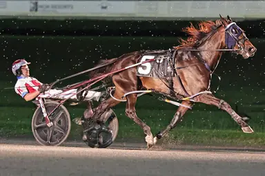 Yonkers:  Odds On Monetary, Surreal Spirit deliver in New York Sire Stakes