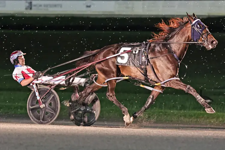 Odds On Monetary 8-6-26