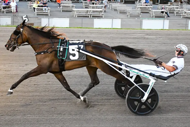 Kountry Plunge 9-4-26