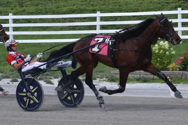 Oak Grove:  Kentucky Sire Stakes five-baggers for Dunn, Melander
