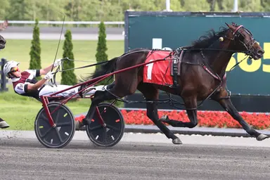 Woodbine Mohawk Park:  OSS Gold Series contests aplenty on Sunday
