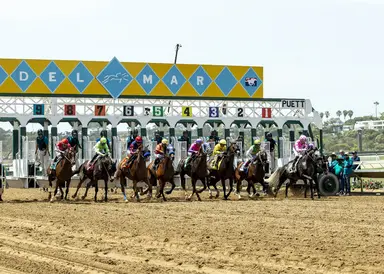 DRF's Horse Racing Playbook for Sunday, Aug. 9, 2026