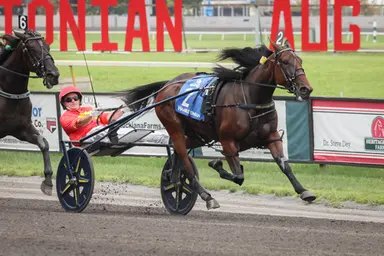 Meadowlands:  Hambletonian Oaks goes to Nezuko Kamado S
