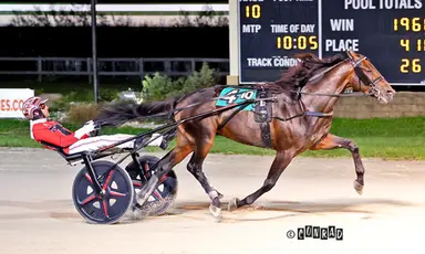 Dayton:  Super Chapter, Warrawee Michelle rule in Troting Derby, Oaks Derby