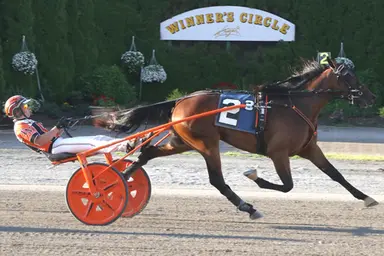 Tioga:  New York Sire Stakes action in abundance on Friday