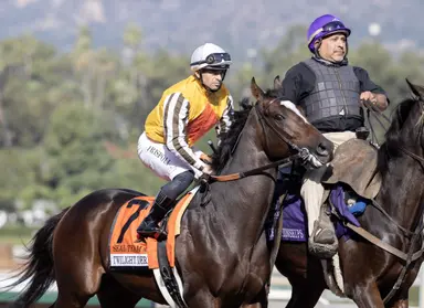 Mandella pivoting to Shoemaker Mile with Seal Team