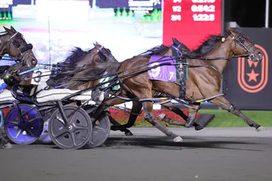Woodbine Mohawk Park:  Jersey Bulldog overcomes overland journey in Shes A Great Lady final
