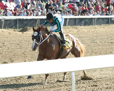 Two Phil's will stand at WinStar
