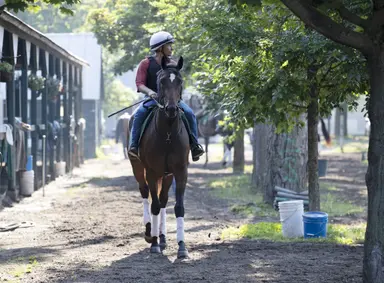 Breakout Beyers: Well-bred Scylla impresses in her debut at Keeneland