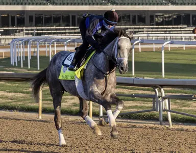 Kentucky Derby: Scratches change field, but Pletcher still holds strong hand