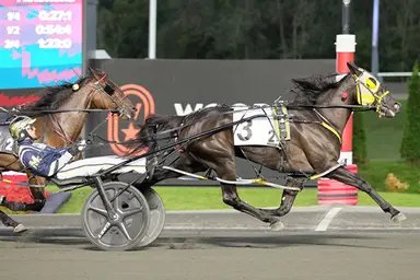 Woodbine Mohawk Park:  Shes A Bulldog strikes in OSS Gold Series