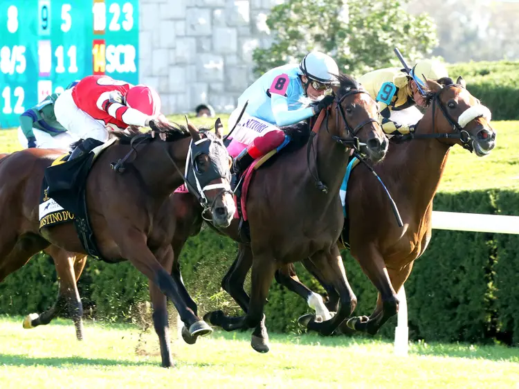 May Day Ready (center) beats Totally Justified (right) and Destino d'Oro in Jessamine at KEE Oct 4 2024