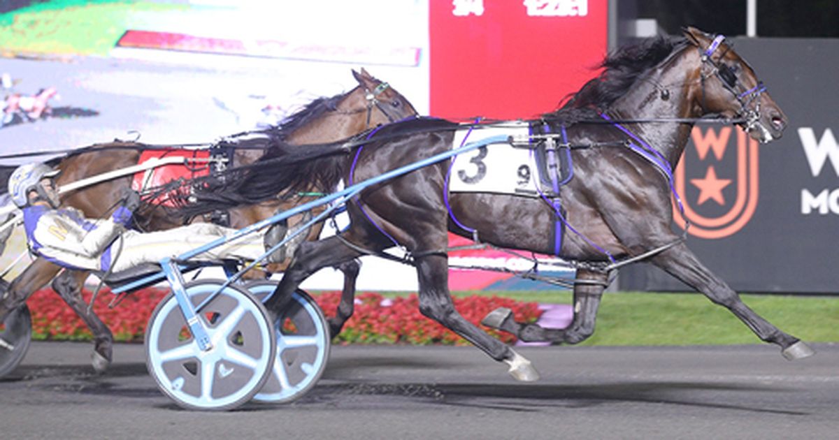 Woodbine Mohawk Park:  Beau Jangles ends drought in OSS Gold Series