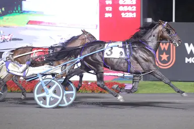Woodbine Mohawk Park:  Beau Jangles ends drought in OSS Gold Series