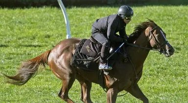 Breeders' Cup Turf Sprint draws overflow cast of 26