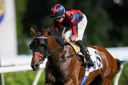 Ricky Yiu plots BMW Hong Kong Derby path with Victor Supreme after Sha Tin four-timer