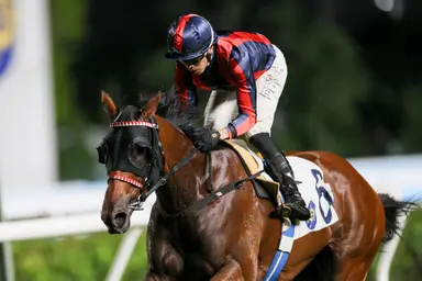 Ricky Yiu plots BMW Hong Kong Derby path with Victor Supreme after Sha Tin four-timer
