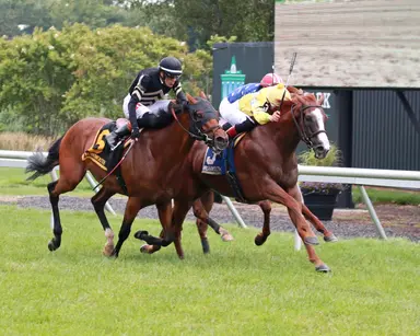 Air Recruit makes it two in row for Oceanport Stakes