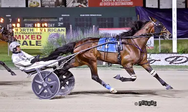 Scioto: Charlotte Elise vying for another upset win in Ohio Sires Stakes