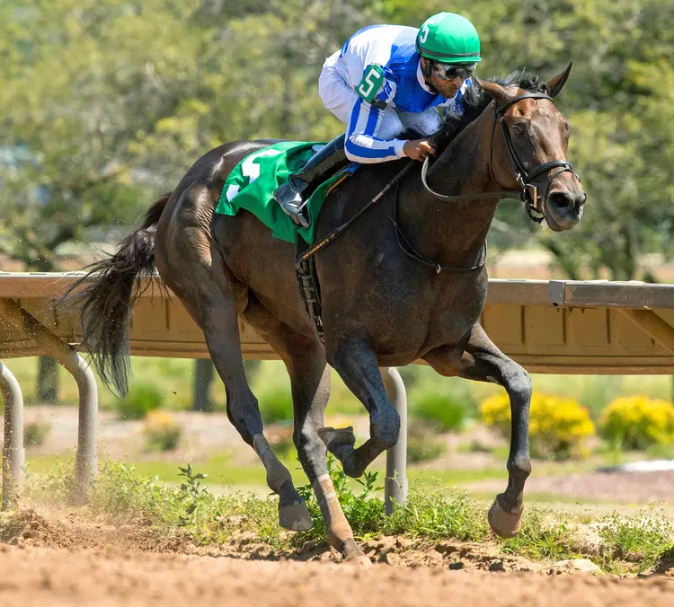 Venetta wins New York Oaks at FL July 13 2026