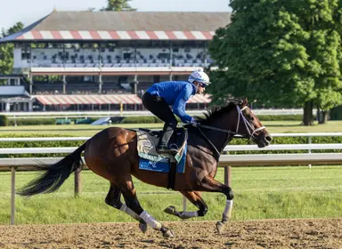 Commandment back at winning distance in Jim Dandy; pick six carryover up to $143K
