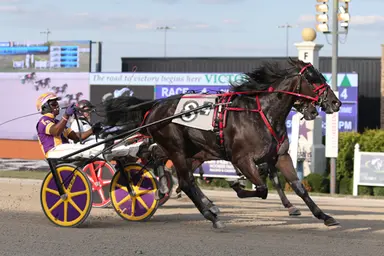 Harrah's Hoosier Park:  Trio of rookie trotters impress in Indiana Sire Stakes