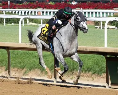 DRF's Horse Racing Playbook for Saturday, Sept. 26, 2026