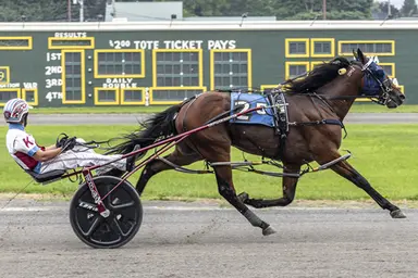 Batavia:  Primacy Station triumphs over stablemate Bastonata Bluechip in NYSS