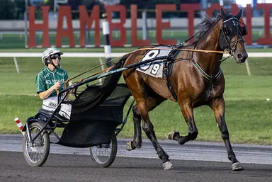 Harness: Madison Global speaks out on Big Ranger, Gillespie & the future