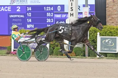 Harrah's Hoosier Park:  Another Mile Again, Mr Bear romp in Indiana Sire Stakes