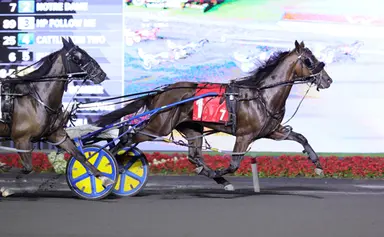 Woodbine Mohawk Park: Rookies in the stakes spotlight on Friday