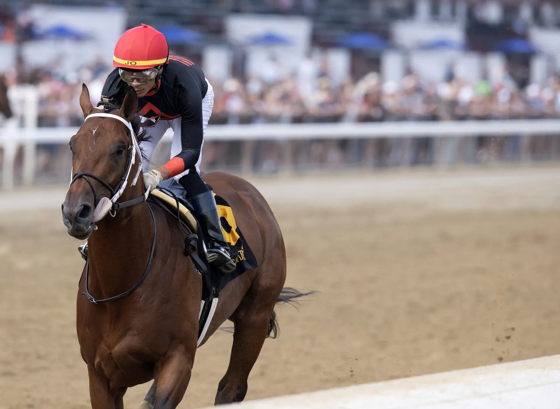 Gallant second in last bodes well for Iron Dome in Empire Classic