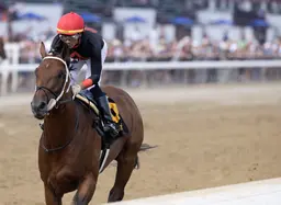 Gallant second in last bodes well for Iron Dome in Empire Classic