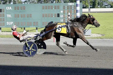 Harrah's Philadelphia:  Dunn, Melander sweep PA Sire Stakes with Birr Castle, Two Day Hangover