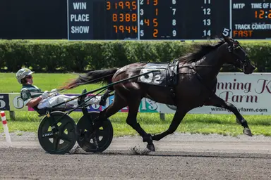 Meadowlands:  World record for Lifetime Dreamer, Wall Of Fame stays undefeated in NJSS finals