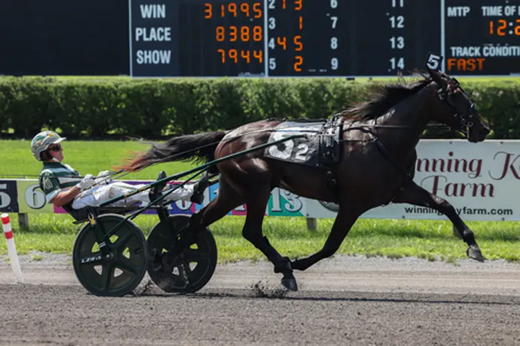 Lifetime Dreamer 8-8-26