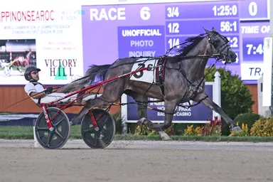 Harrah's Hoosier Park: Mr Bear, Tell Me It's You dominant in Indiana Sire Stakes
