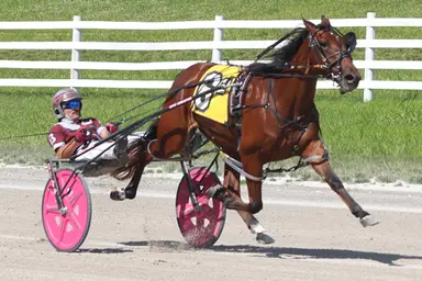 Oak Grove:  Dame Frances dazzles with a track record in the Kentucky Sire Stakes