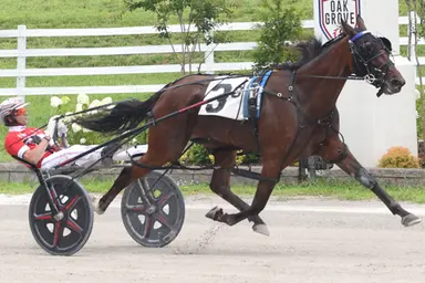 Oak Grove:  Hope Hill lowers track record in Kentucky Sire Stakes triumph