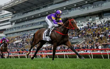 Helios Express steps up for Sha Tin Trophy, Le Zonda seeks fourth Valley win  