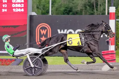 Woodbine Mohawk Park:  OSS Gold Series divisions go to Bingo Night, Th Trix R Forkids